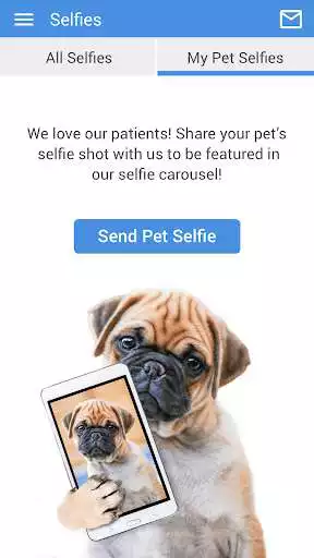 Play Apalachee Vet as an online game Apalachee Vet with UptoPlay