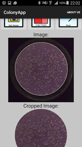 Play APD Colony Counter App Lite as an online game online APD Colony Counter App Lite with UptoPlay Play APD Colony Counter App Lite as an online game APD Colony Counter App Lite with UptoPlay