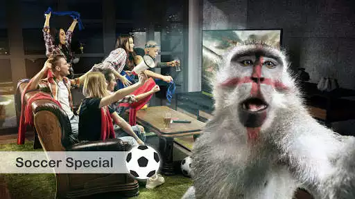 Play ApeMe - Create funny ape selfies and enjoy ApeMe - Create funny ape selfies with UptoPlay Play ApeMe - Create funny ape selfies and enjoy ApeMe - Create funny ape selfies with UptoPlay