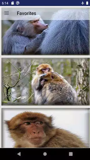 Play Ape Wallpaper as an online game Ape Wallpaper with UptoPlay