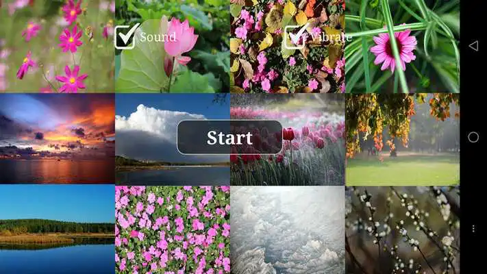 Play A Photographers Jigsaw Puzzle
