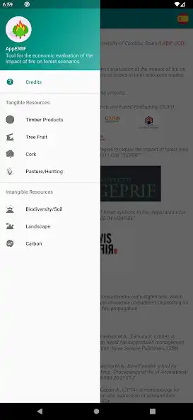 Play AppERIIF as an online game AppERIIF with UptoPlay