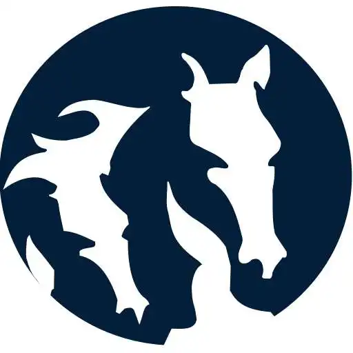 Play AppFengur APK Play AppFengur APK