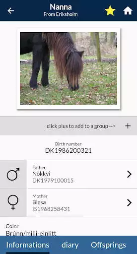 Play AppFengur