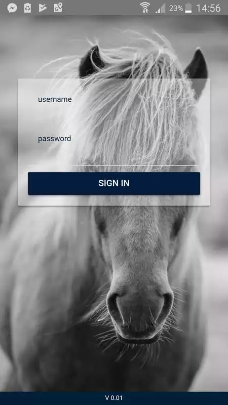 Play AppFengur