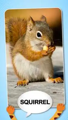 Play App For Kids - Free Kids Game