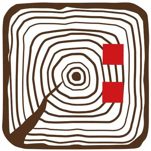 Play App ins Holz APK Play App ins Holz APK