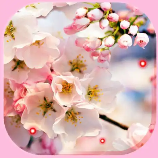 Play Apple Blossom Nice APK