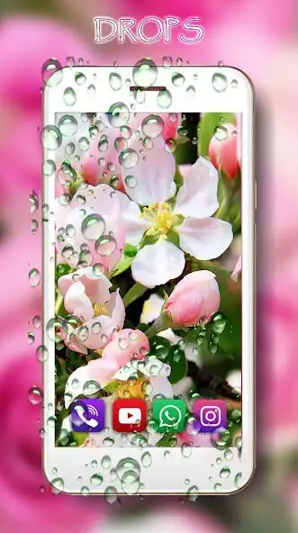 Play Apple Blossom Nice as an online game Apple Blossom Nice with UptoPlay