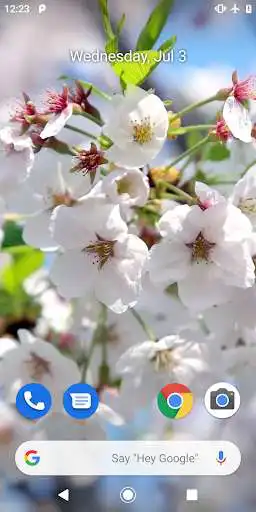 Play Apple Blossom Video Theme  and enjoy Apple Blossom Video Theme with UptoPlay