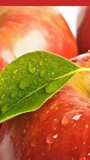 Play Apple Recipes  and enjoy Apple Recipes with UptoPlay