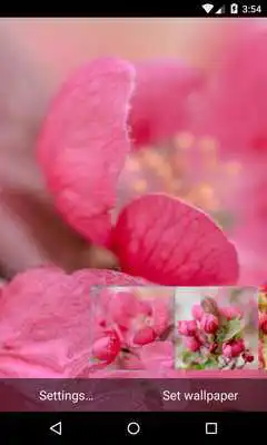 Play Apple Tree Live Wallpaper