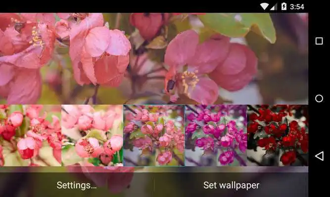 Play Apple Tree Live Wallpaper