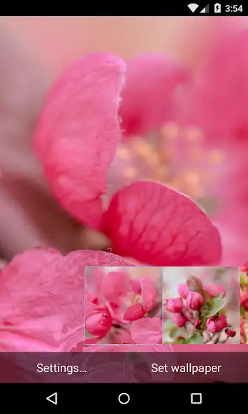 Play Apple Tree Wallpaper  and enjoy Apple Tree Wallpaper with UptoPlay