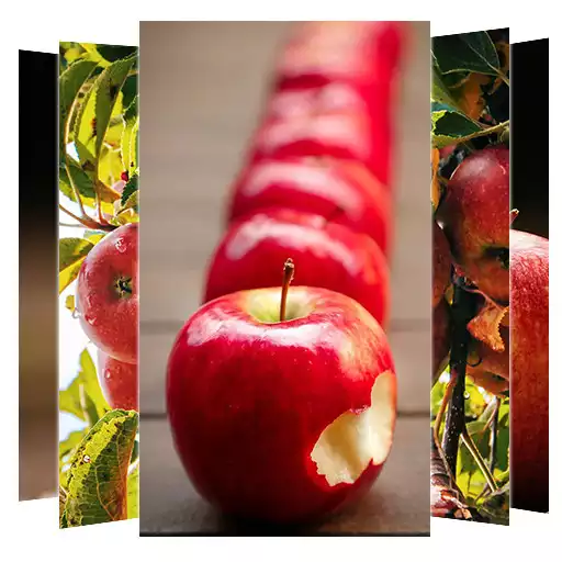 Play Apple Wallpaper APK