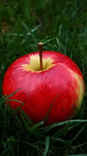 Play Apple Wallpapers as an online game Apple Wallpapers with UptoPlay
