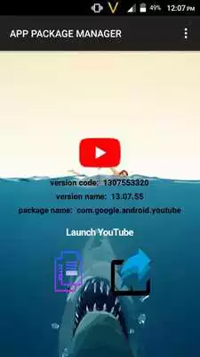 Play Application Package Name Checker