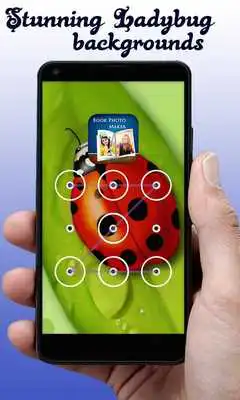 Play App Locker Ladybug Theme