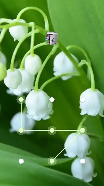 Play AppLock Lily of the Valley  and enjoy AppLock Lily of the Valley with UptoPlay
