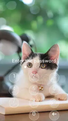 Play Applock Theme  Cat