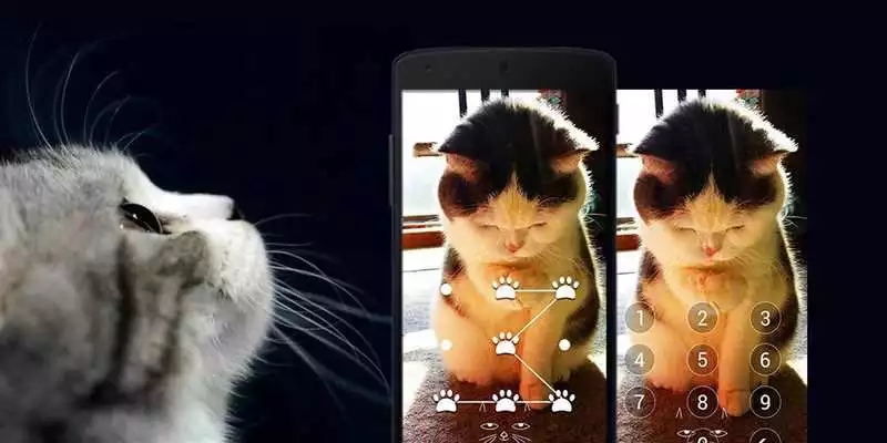 Play Applock Theme  Cat