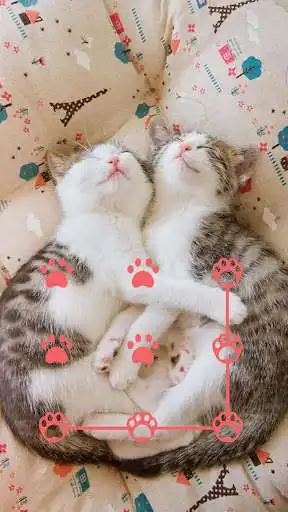 Play AppLock Theme Cute Cat  and enjoy AppLock Theme Cute Cat with UptoPlay