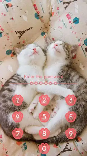 Play AppLock Theme Cute Cat as an online game AppLock Theme Cute Cat with UptoPlay