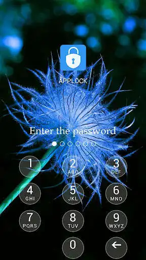 Play AppLock Theme Dandelion