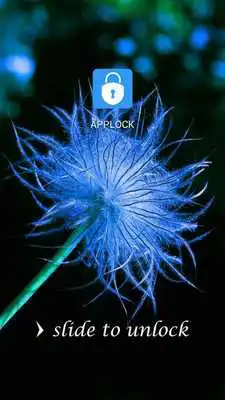 Play AppLock Theme Dandelion