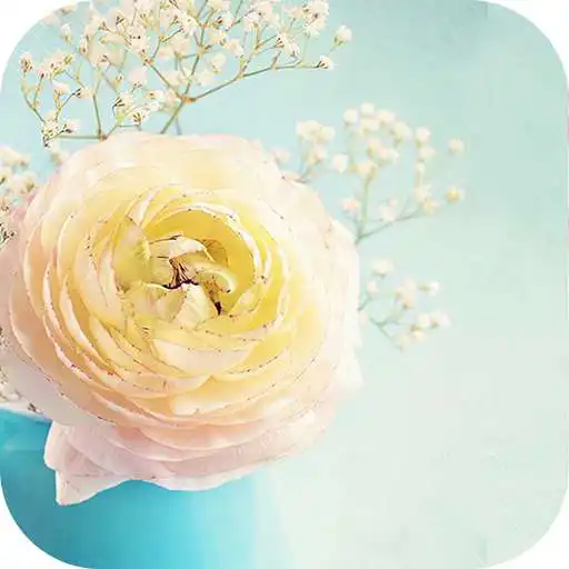 Free play online AppLock Theme For Beautiful Flower APK