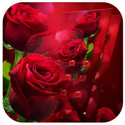 Run free android online AppLock Theme Red Rose APK