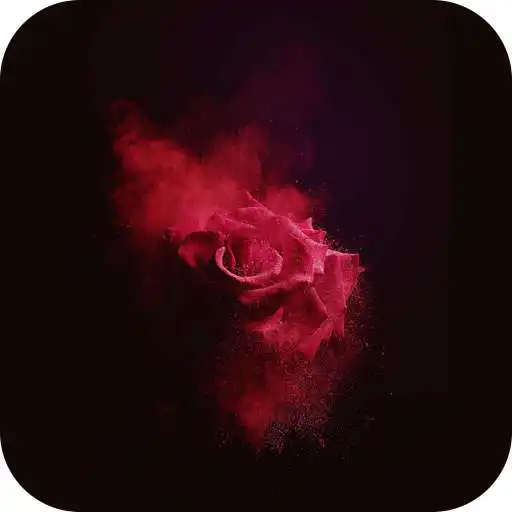 Play AppLock Theme Rose&Love APK Play AppLock Theme Rose&Love APK