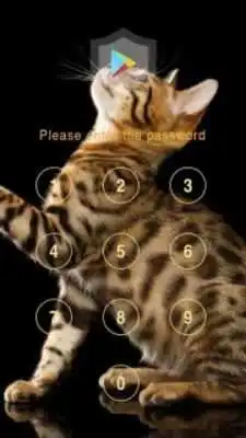 Play Applock Theme SocialLife