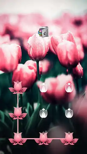 Play Applock Theme Tulip