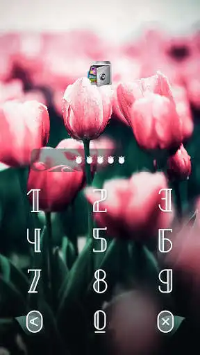 Play Applock Theme Tulip