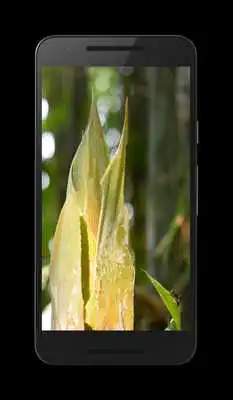 Play Appography HD