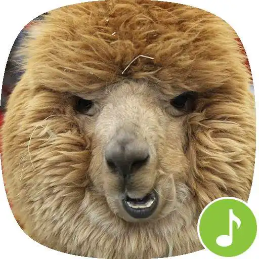 Free play online Appp.io - Alpaca Sounds APK