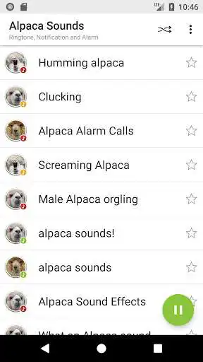 Play Appp.io - Alpaca Sounds Play Appp.io - Alpaca Sounds