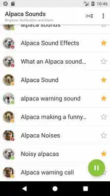 Play Appp.io - Alpaca Sounds Play Appp.io - Alpaca Sounds