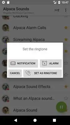 Play Appp.io - Alpaca Sounds Play Appp.io - Alpaca Sounds