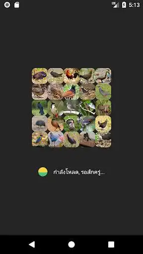 Play Appp.io - Bird Calls  and enjoy Appp.io - Bird Calls with UptoPlay