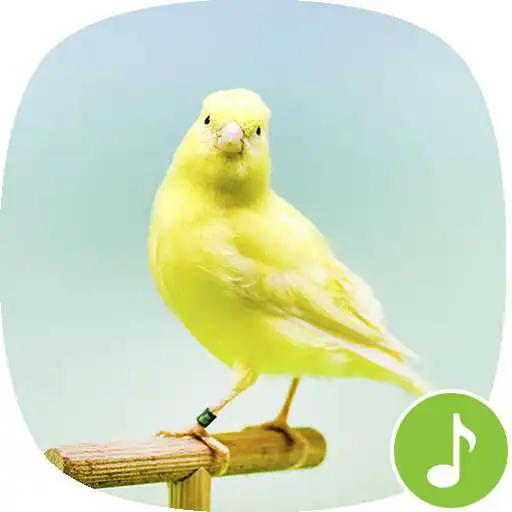 Play Appp.io - Canary Bird Sounds APK