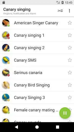 Play Appp.io - Canary Bird Sounds  and enjoy Appp.io - Canary Bird Sounds with UptoPlay
