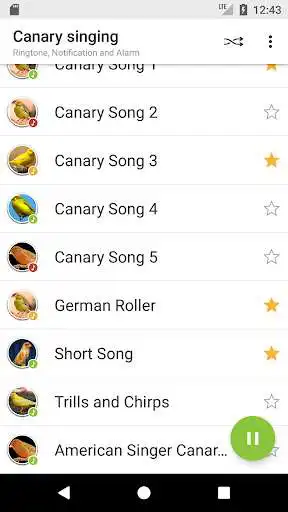 Play Appp.io - Canary Bird Sounds as an online game Appp.io - Canary Bird Sounds with UptoPlay