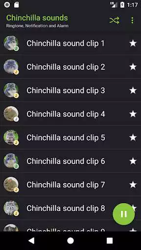 Play Appp.io - Chinchilla sounds