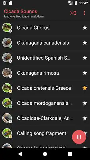 Play Appp.io - Cicada Sounds as an online game Appp.io - Cicada Sounds with UptoPlay