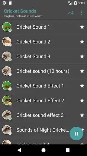 Play Appp.io - Crickets Sounds Play Appp.io - Crickets Sounds
