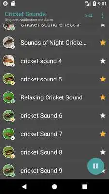 Play Appp.io - Crickets Sounds Play Appp.io - Crickets Sounds