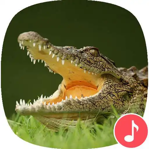 Free play online Appp.io - Crocodile Sounds APK