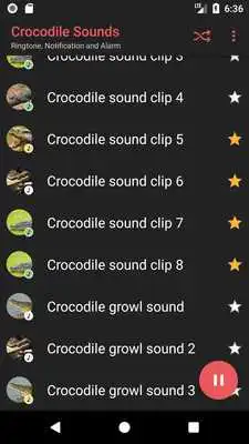 Play Appp.io - Crocodile Sounds